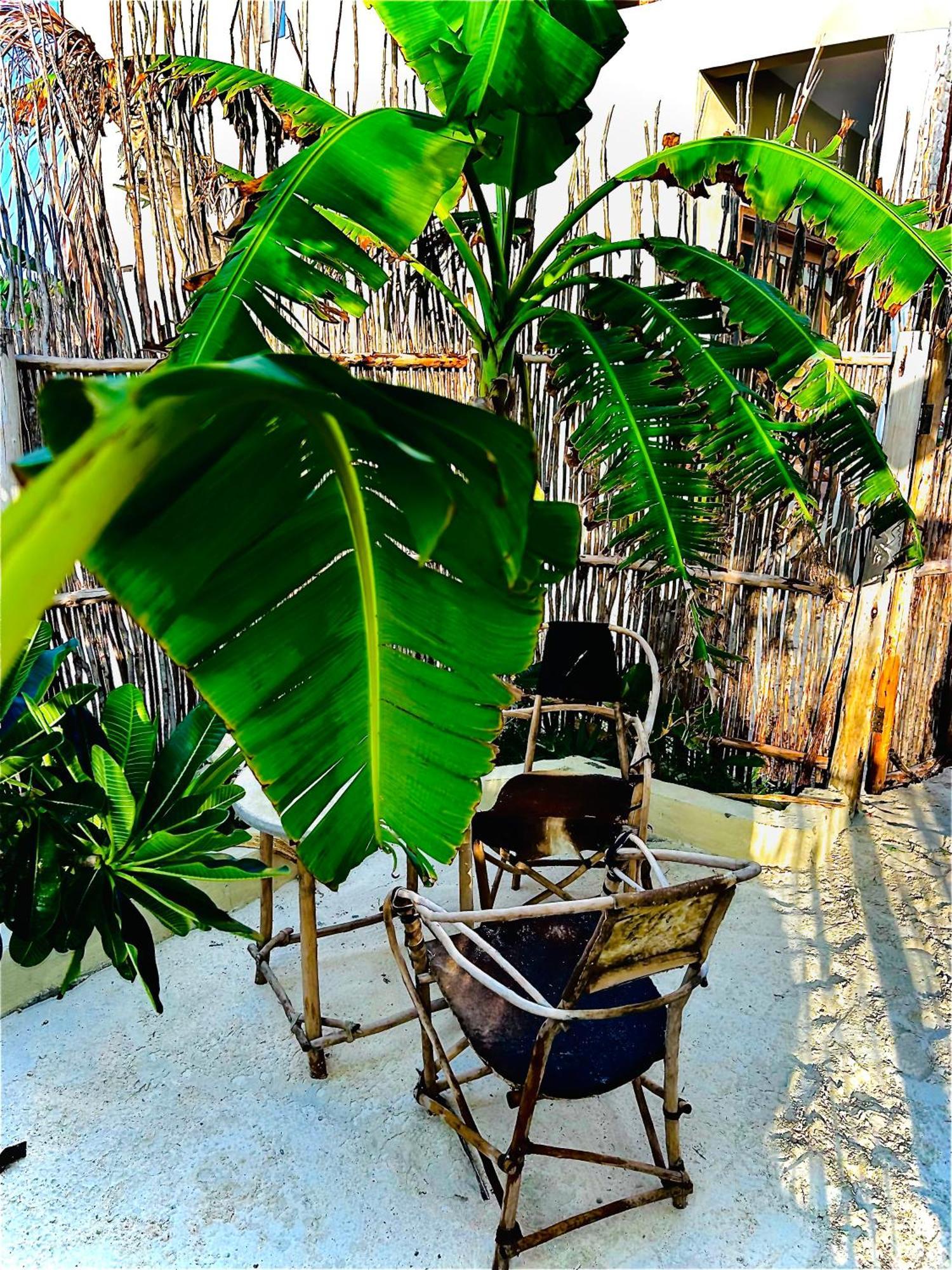 Zanzi Soul Luxury Boutique Hotel Jambiani  Luaran gambar